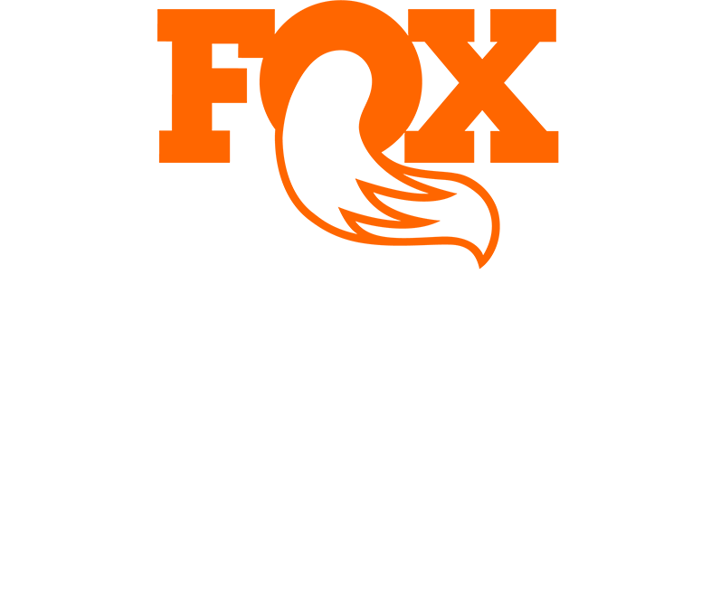 FOX STORYS
