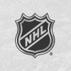 Nya NHL-laget kommer kallas ”Utah något"